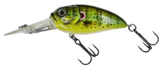 Molix Sculpo DR Rattlin Floating 5.5cm